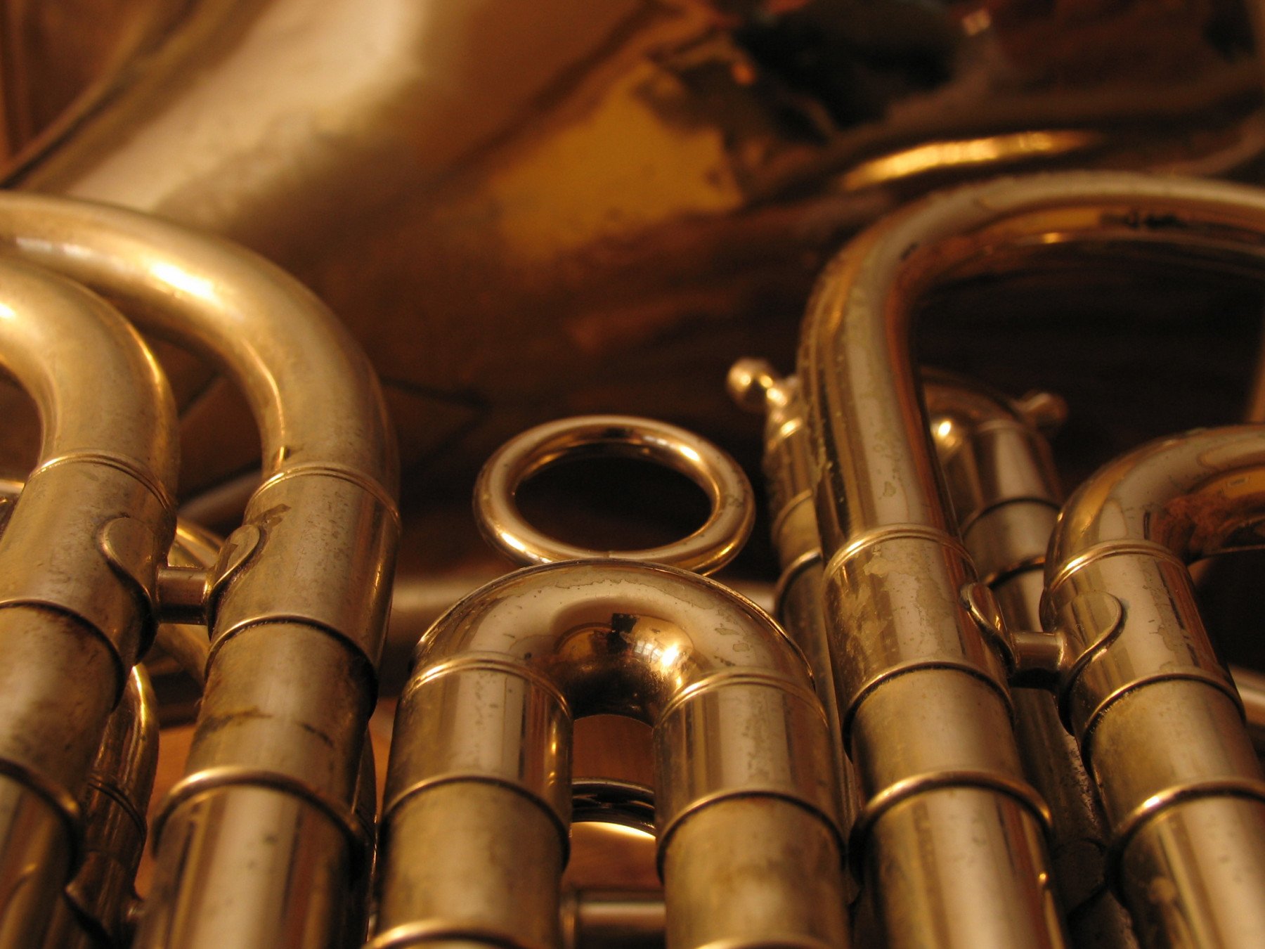 French horn